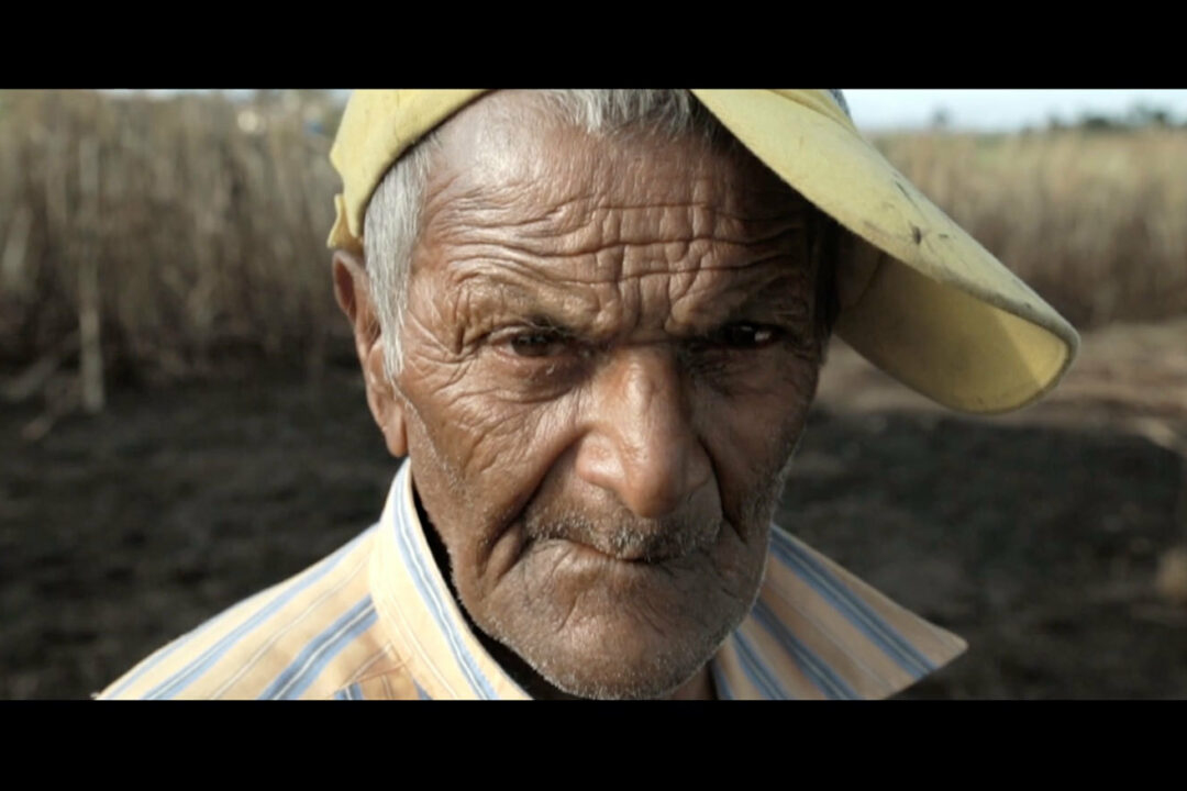 An impression of the Fijian sugar cane field worker